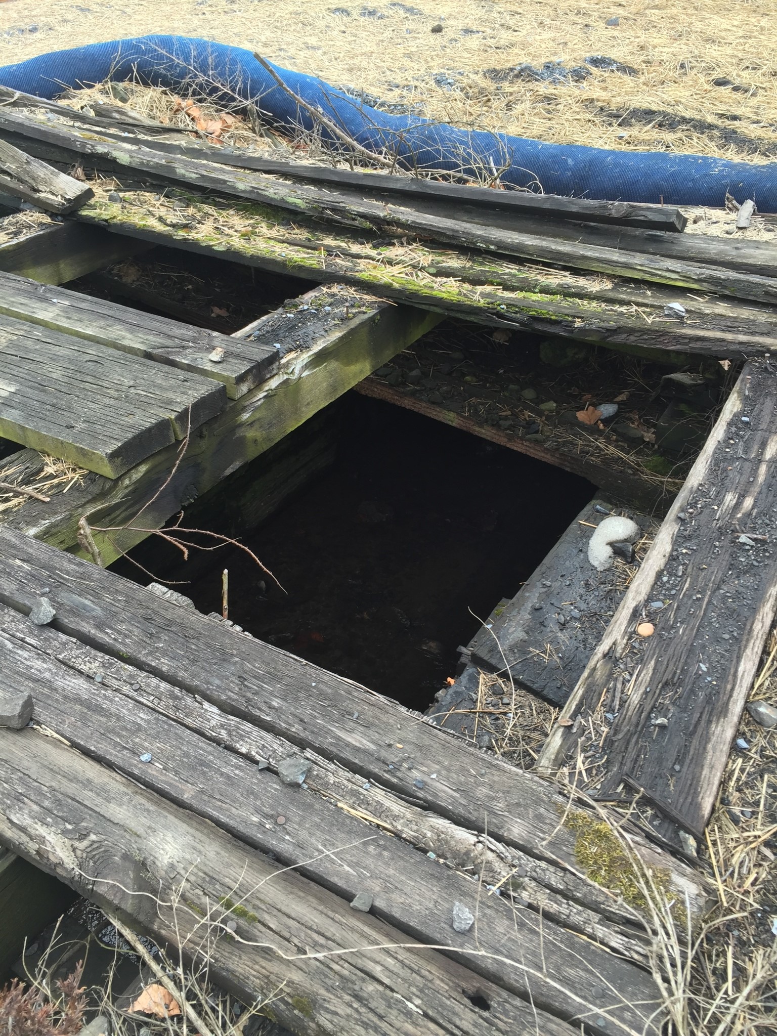 covering of stream piping brady myers 2019