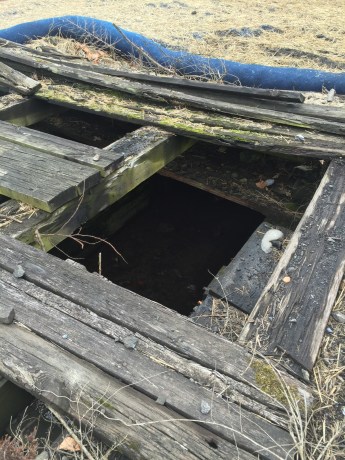 covering of stream piping brady myers 2019